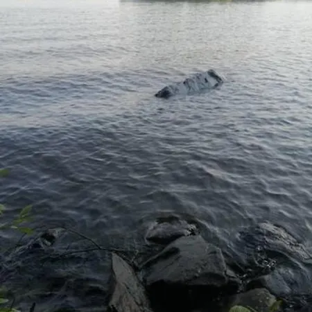 Privat bolig Viihtyisae Leposoppi Hyvaellae Sijainnilla Jaerven Laeheisyydessae *