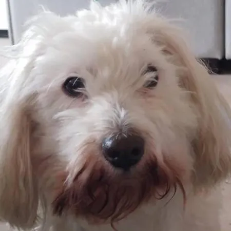 Privat bolig Viihtyisae Leposoppi Hyvaellae Sijainnilla Jaerven Laeheisyydessae