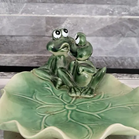 Viihtyisae Leposoppi Hyvaellae Sijainnilla Jaerven Laeheisyydessae Privat bolig Nokia