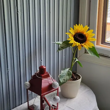 Privat bolig Viihtyisae Leposoppi Hyvaellae Sijainnilla Jaerven Laeheisyydessae *