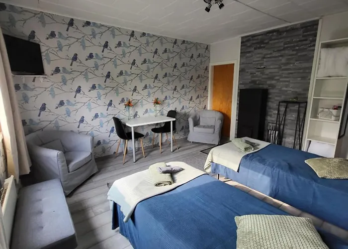 Viihtyisae Leposoppi Hyvaellae Sijainnilla Jaerven Laeheisyydessae Pansiyon *