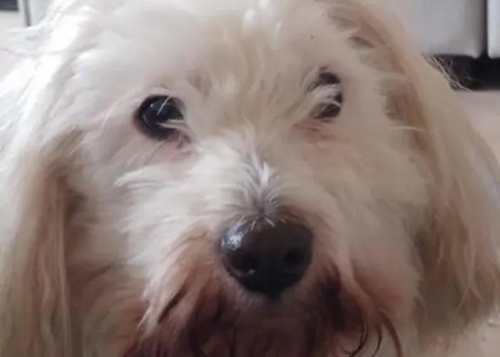 Quarto em Acomodações Particulares Viihtyisae Leposoppi Hyvaellae Sijainnilla Jaerven Laeheisyydessae