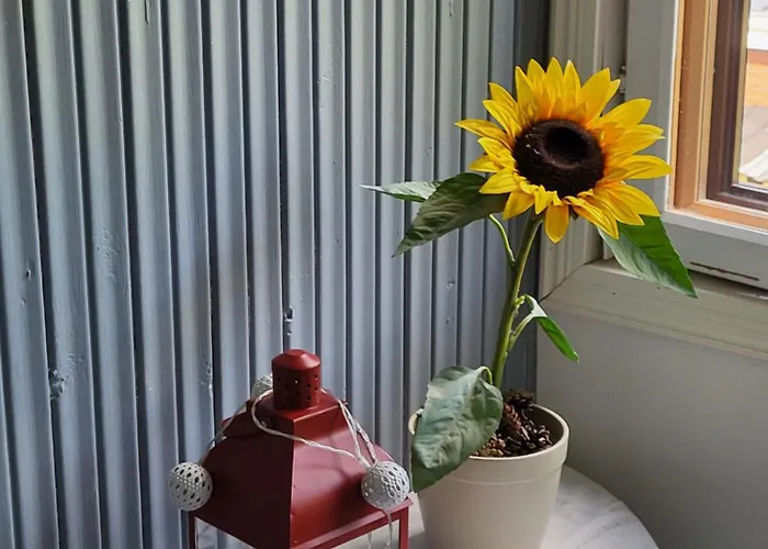 Quarto em Acomodações Particulares Viihtyisae Leposoppi Hyvaellae Sijainnilla Jaerven Laeheisyydessae *